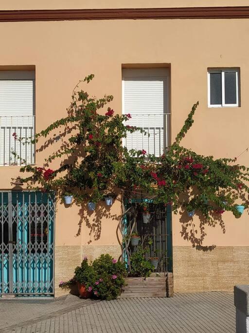 Apartamento Las Canastas Cadiz Centro Екстер'єр фото