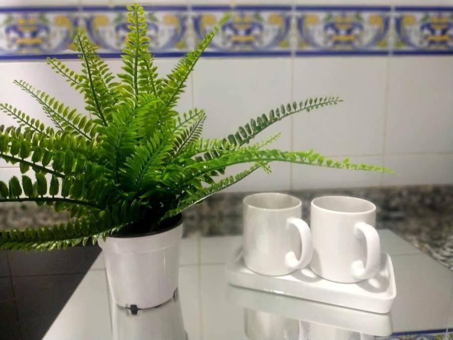 Apartamento Las Canastas Cadiz Centro Екстер'єр фото